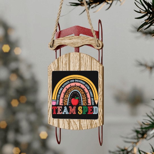 Team SPED Teacher Rainbow Sled Ornaments