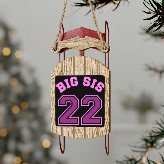 Big Sis 2022 - Big Sister Baby Family Birth Girl Sled Ornaments