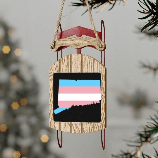Trans Flag Connecticut LGBT Pride Support Sled Ornaments
