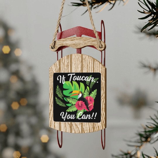 You Can Courageous Person Gift Sled Ornaments