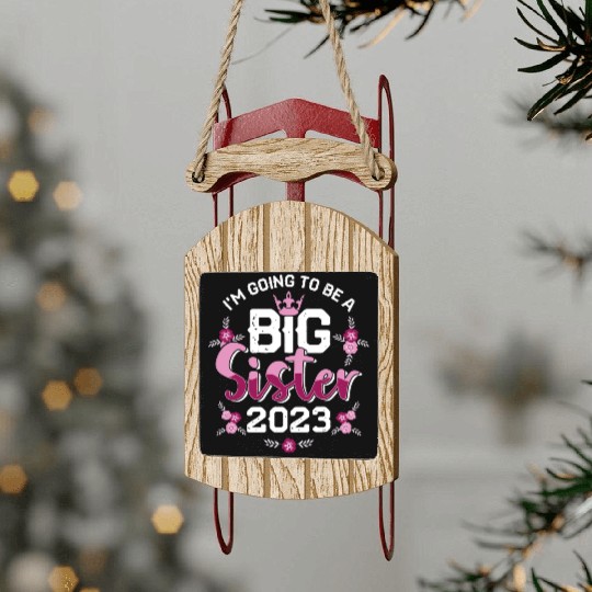 Big Sis 2023 - Big Sister Baby Family Birth Girl Sled Ornaments