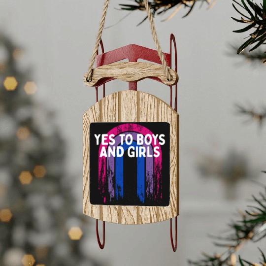 Yes to Boys and Girls Bisexual LGBTQ Bi Pride Sled Ornaments