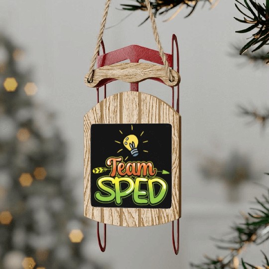 Team Sped Awareness Special Education Teacher Sled Ornaments