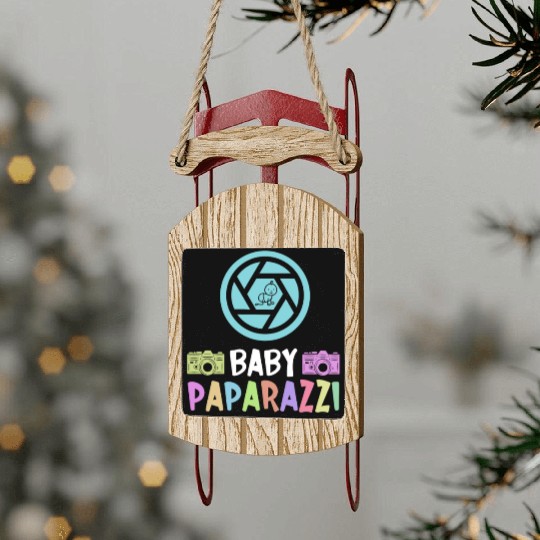 Baby Paparazzi - Newborn Photographer Sled Ornaments