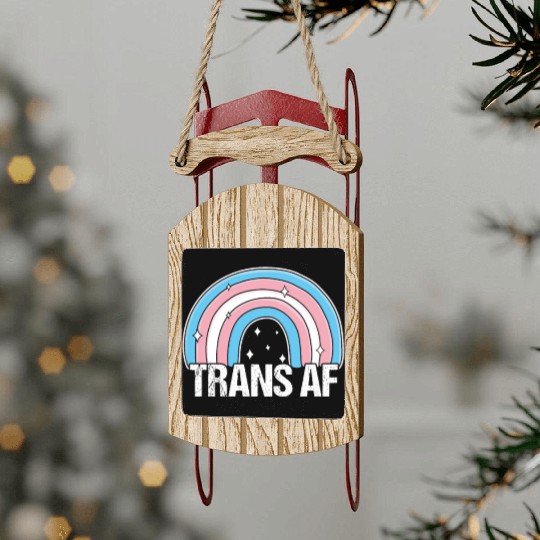 Trans AF Transsexual Transgender Pride Flag Rainbo Sled Ornaments