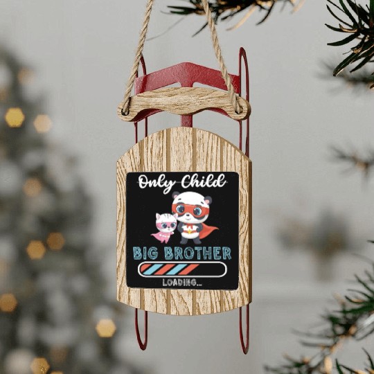 Big brother super hero panda cat Sled Ornaments