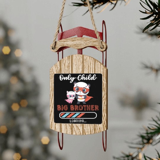 Big brother super hero panda cat Sled Ornaments