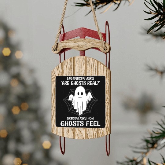 Ghost Hunters, Ghosts, Ghost, Ghost hunting Sled Ornaments