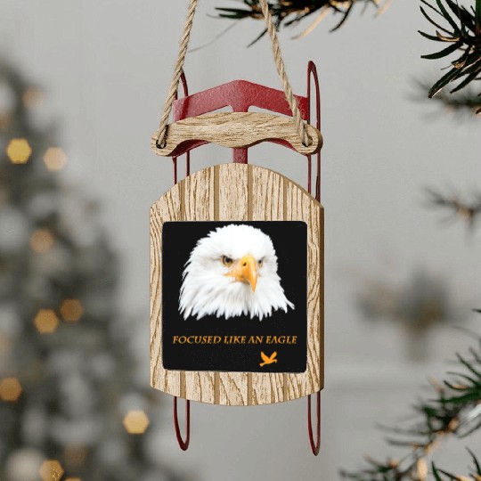 Bald Eagle Gift Idea Focussed like an Eagle Photo Sled Ornaments