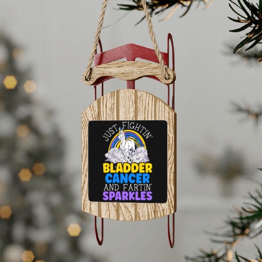 Bladder Cancer Warrior Bladder Cancer Awareness Sled Ornaments