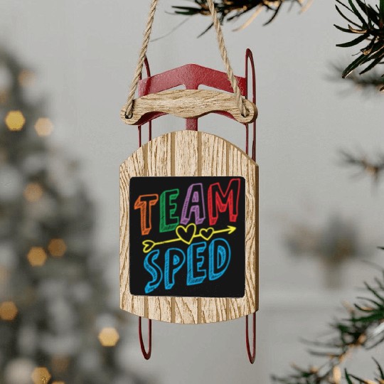 Team Sped Awareness Special Education Teacher Sled Ornaments