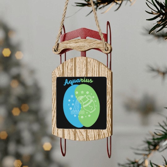 Aquarius: Embrace Your Unique Vision with Minimali Sled Ornaments