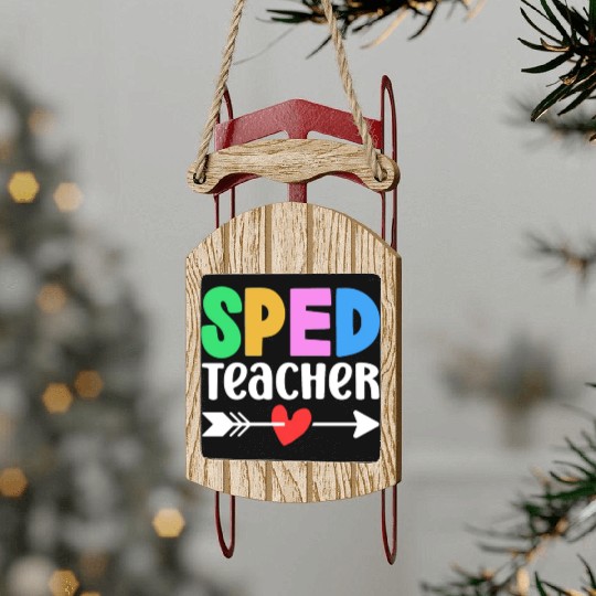 Sped Teacher Special Education Cute Awareness Sled Ornaments