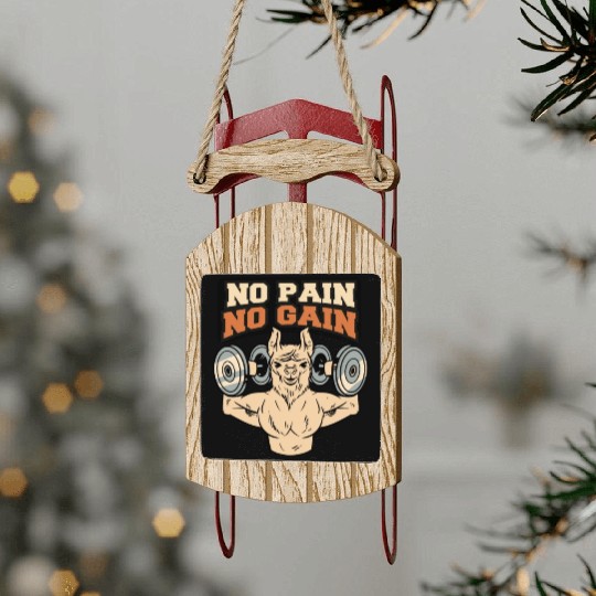 No Pain No Gain GYM Sled Ornaments.