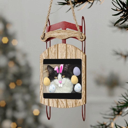 Easter Bunny Cat Face Decor Sled Ornaments