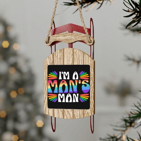 Gay Rights Rainbow Pride Month LGBTQ Gay Pride Sled Ornaments
