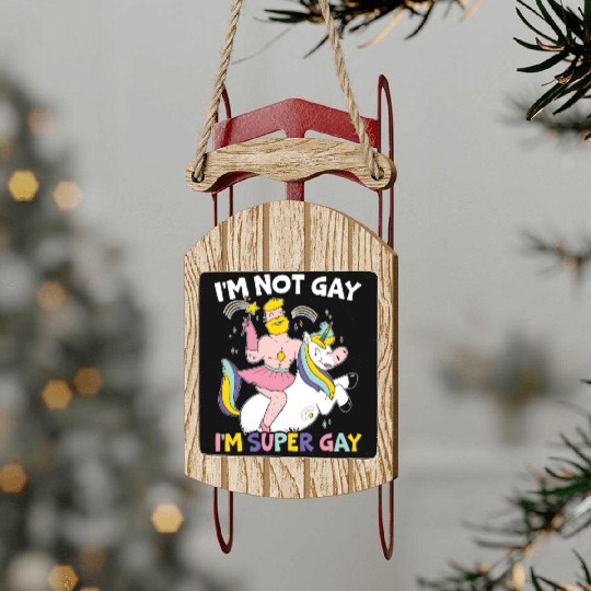 Gay Rights Rainbow Pride Month LGBTQ Gay Pride Sled Ornaments