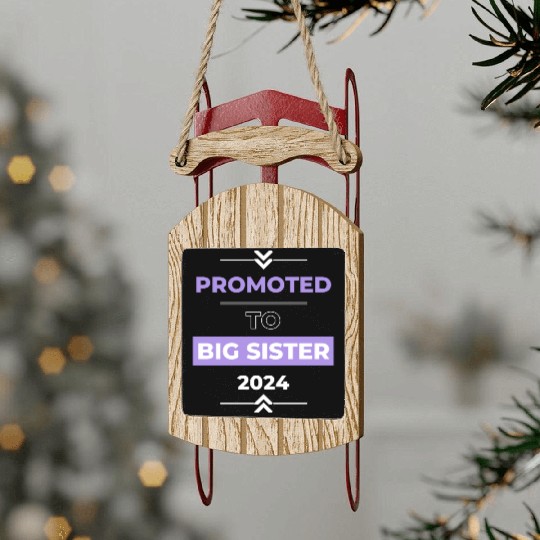 Promoted to Big Sister 2024 Sled Ornaments