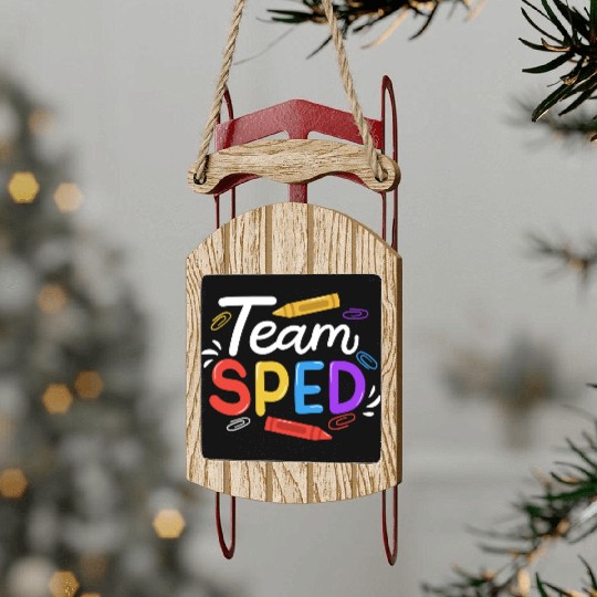 Sped Special Education Sped Teacher Student Sled Ornaments