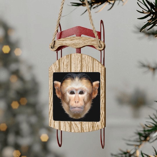 Capuchin Monkey Face Sled Ornaments