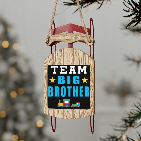 Team Big Brother Sled Ornaments