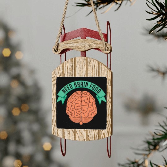 Psychology Psychologist Brain Sled Ornaments