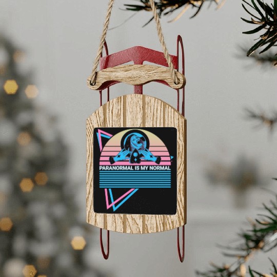 Ghost Hunting Retro Sled Ornaments