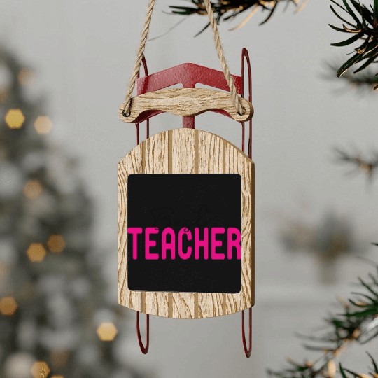 Best Teacher Funny Lover Sled Ornaments