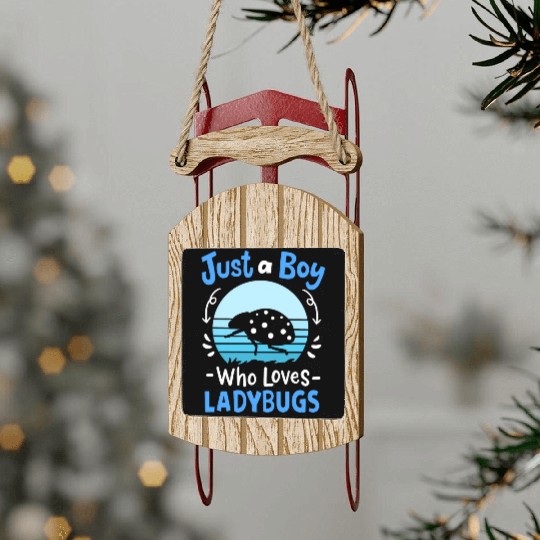 Ladybug Insect Ladybug Lover Retro Sled Ornaments