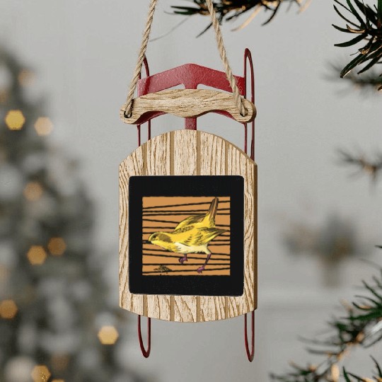 Bird Feeding Health Bird Fan Birdwatching Sled Ornaments