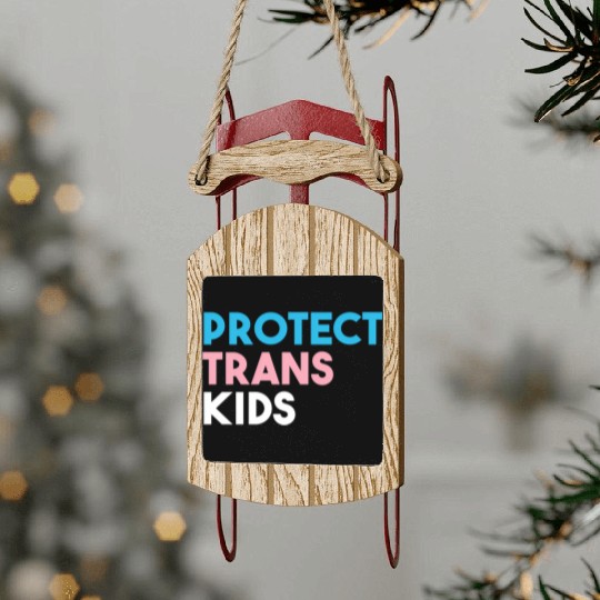Protect Trans Transgender Pride Sled Ornaments