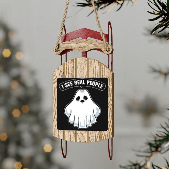 Funny Ghost Hunting Parapsychology Sled Ornaments