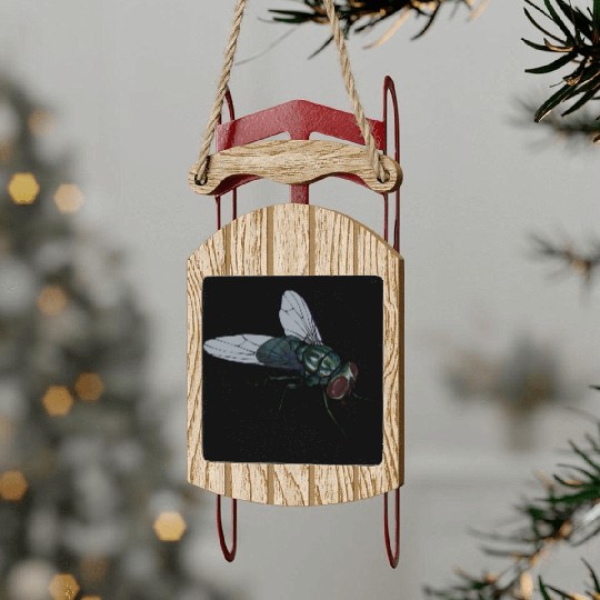 Fly Common House Fly Insect Sled Ornaments