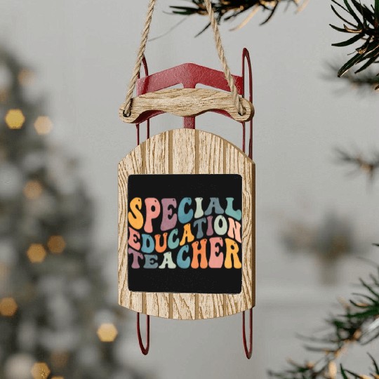 Groovy Special Education Teacher SPED Sled Ornaments
