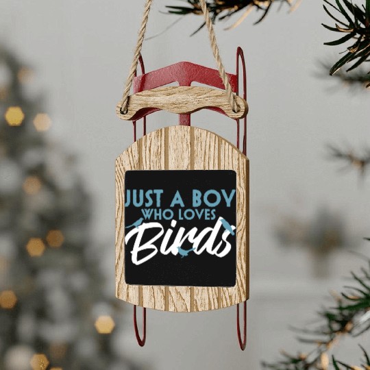 Bird Budgie Boy Avian Love Robin Heron Hummingbird Sled Ornaments