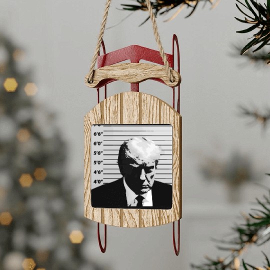 Official Trump Mugshot, Real Trump Mugshot Sled Ornaments