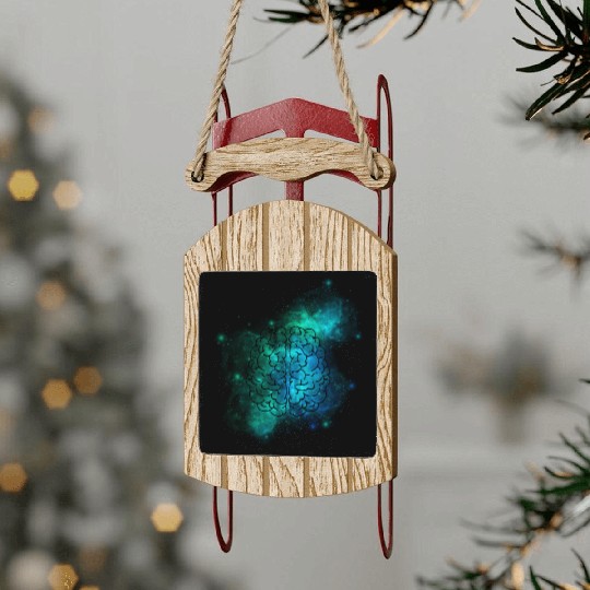 Back To School Brain Sled Ornaments