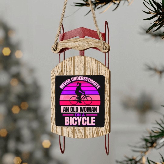 Cyclist Gift Bicycle Women Cycling Tour Cycling Sled Ornaments