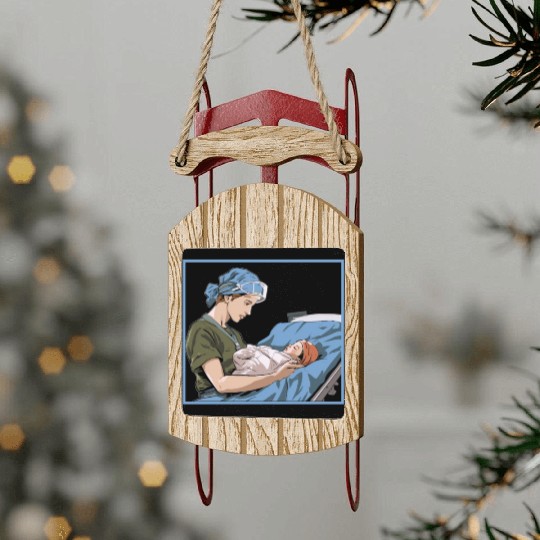 Registered Nurse Medical Medicine Neonatal Nurse Sled Ornaments