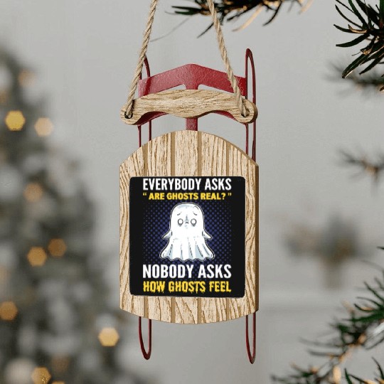 Everybody Asks Are Ghosts Real? Ghost Hunting Sled Ornaments