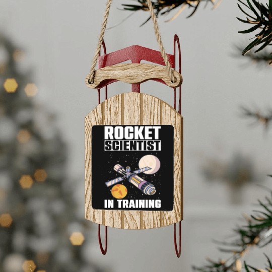 Rocket Scientist Studied Science In Training Sled Ornaments