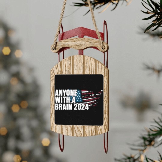 2024 Brain Vote Democracy Anti-Trump Sled Ornaments