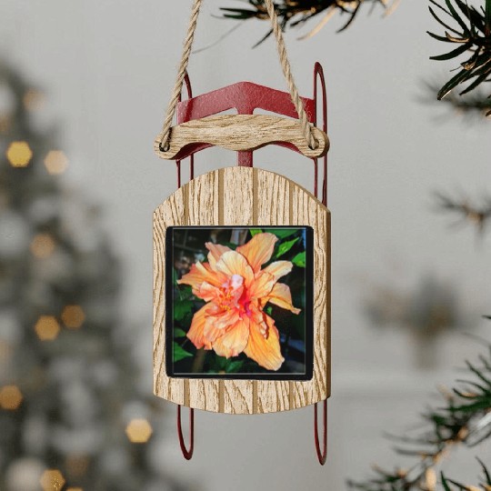 Hibiscus 1 Sled Ornaments