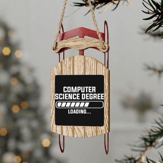 computer science degree Sled Ornaments