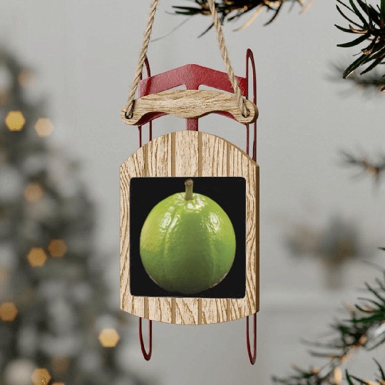 Guava Realistic Sled Ornaments