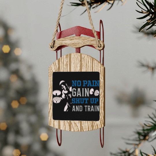 no pain no gain shut up and train Sled Ornaments