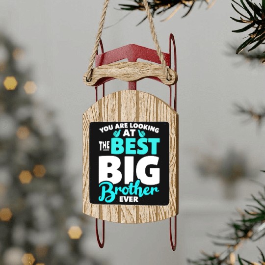 you are looking at the best big brother ever Sled Ornaments