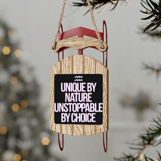 Unique By Nature Aquarius Character Zodiac Sled Ornaments