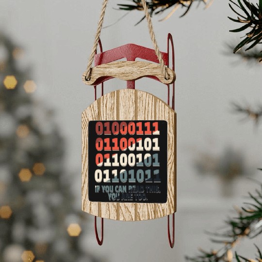 Science Nerd Physics Student Jokes Geek Sled Ornaments
