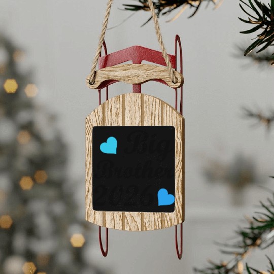 Big Brother 2026 Heartwarming Announcement Sled Ornaments